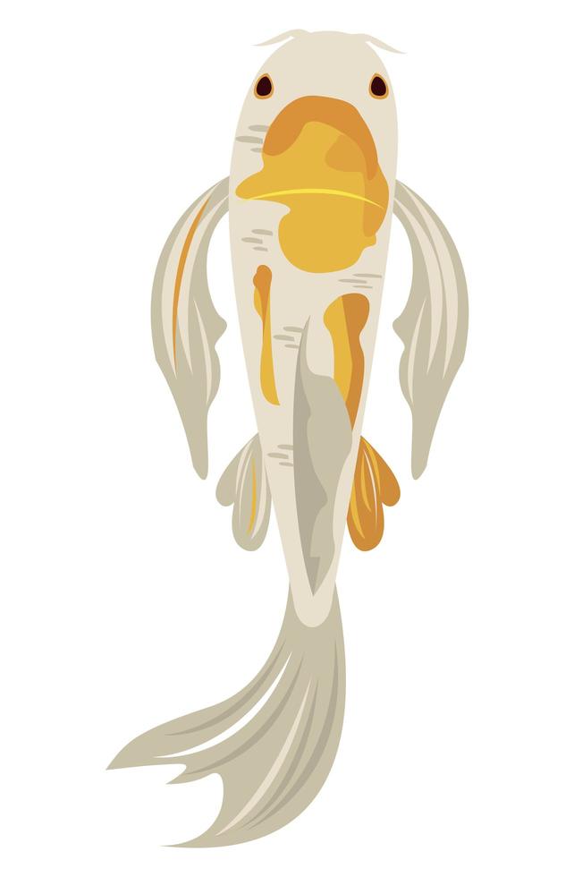 white and yellow koi fish vector