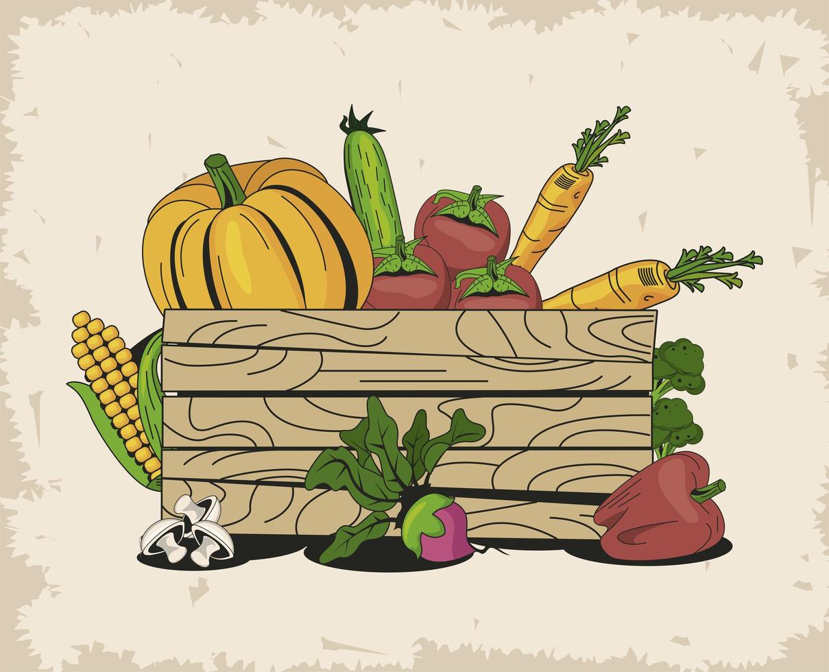 Basket with organic vegetables icon group vector