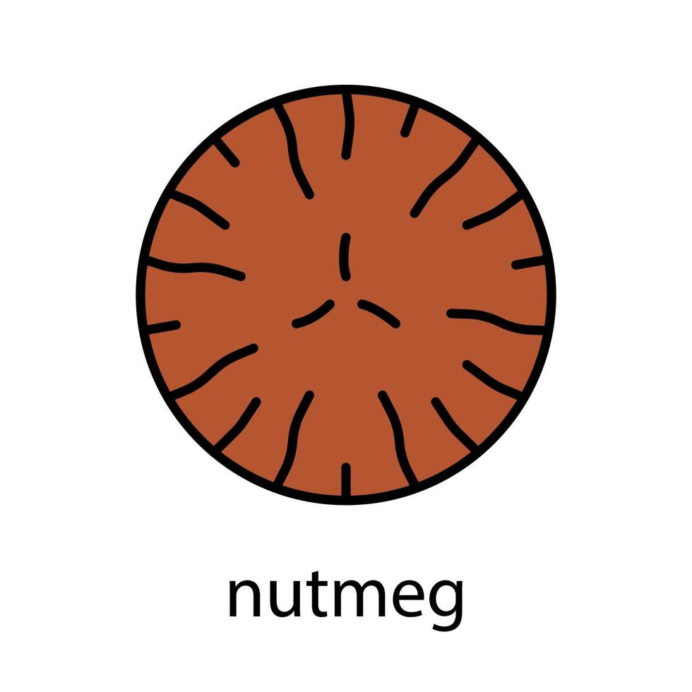 Nutmeg color icon. Mace spice. Isolated vector illustration
