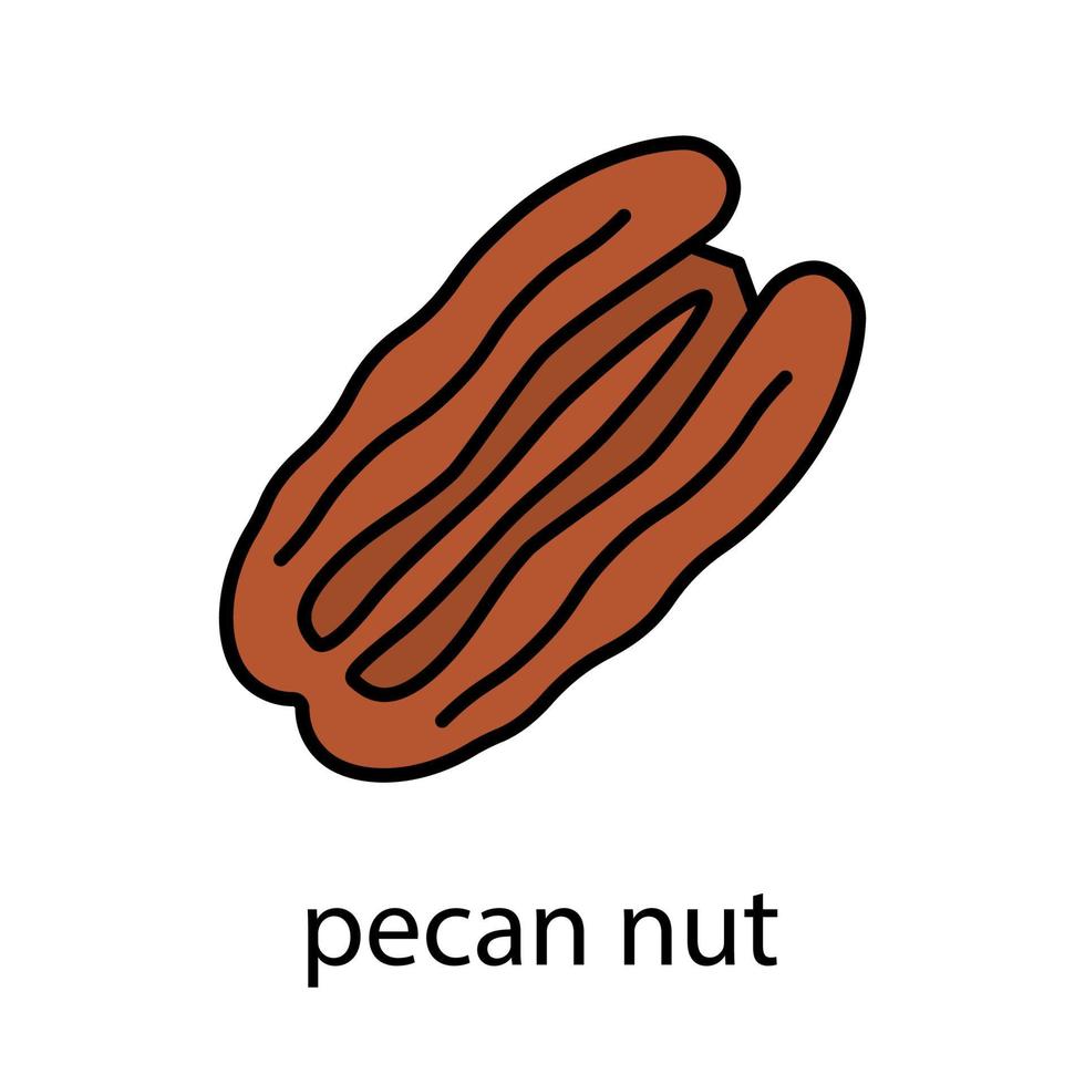 Pecan nut color icon. Isolated vector illustration