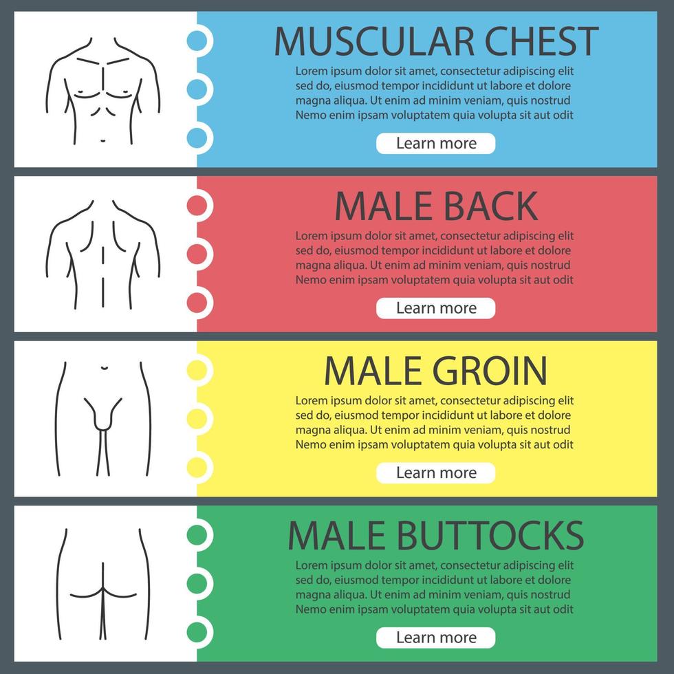 Male body parts web banner templates set. Muscular chest, back, groin, buttocks. Website color menu items with linear icons. Vector headers design concepts