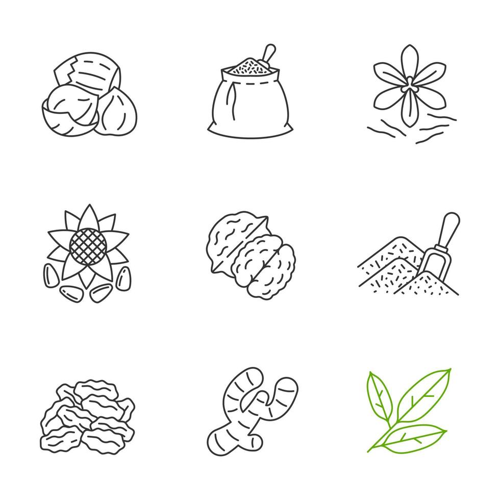 Spices linear icons set. Thin line contour symbols. Hazelnut, spices bag, saffron, sunflower seeds, walnut, bulk spices, dried goji berries, ginger, bay leaves. Isolated vector outline illustrations