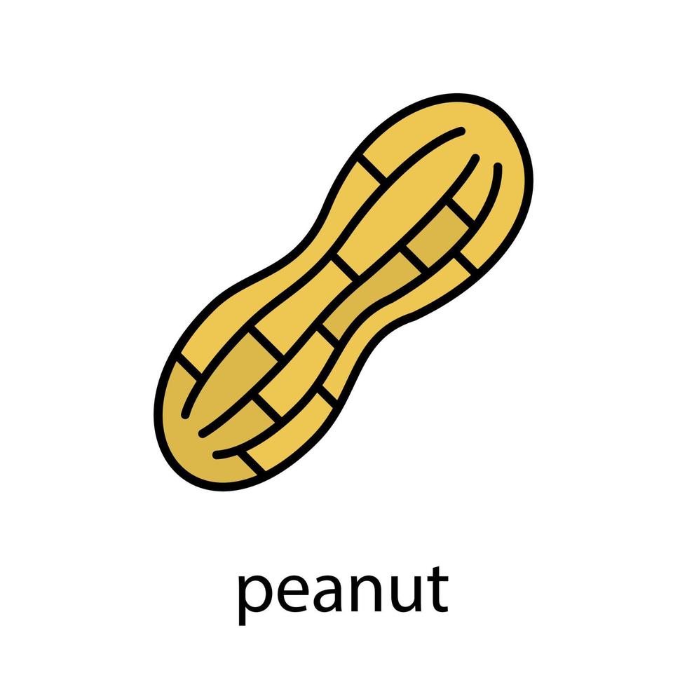 Peanut color icon. Isolated vector illustration