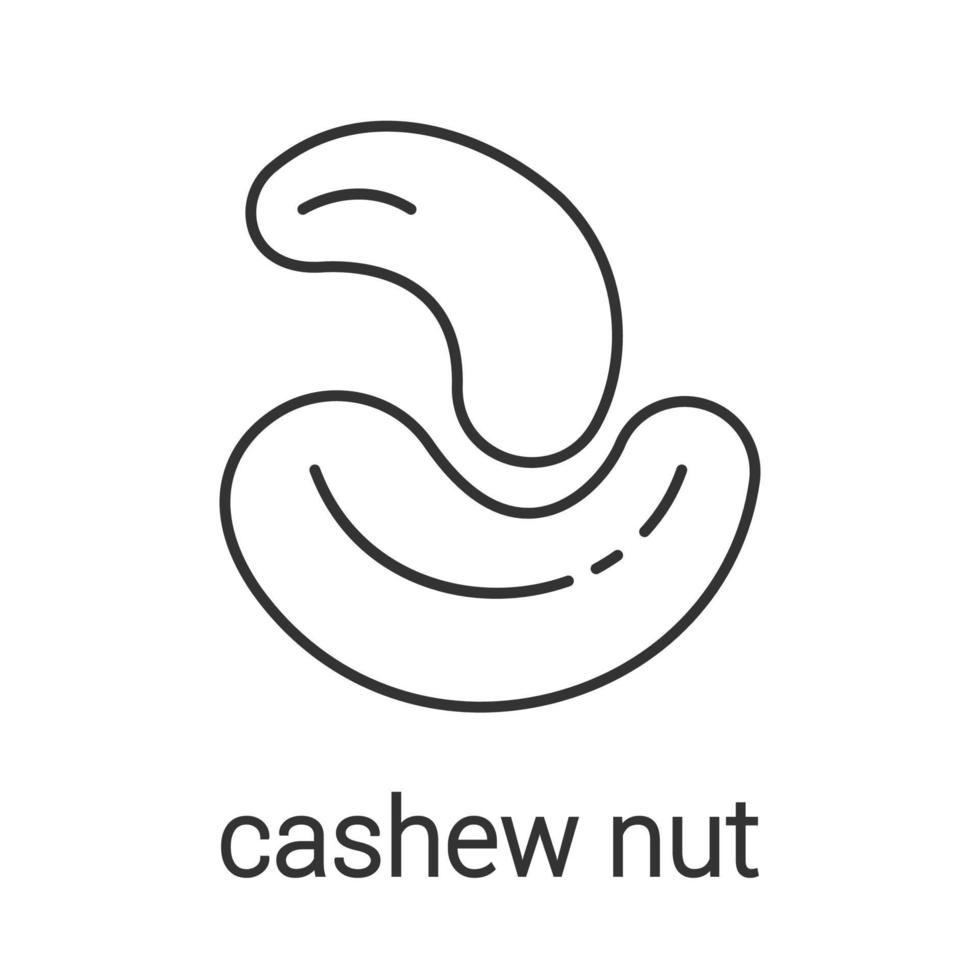 Cashew nut linear icon. Thin line illustration. Contour symbol. Vector isolated outline drawing