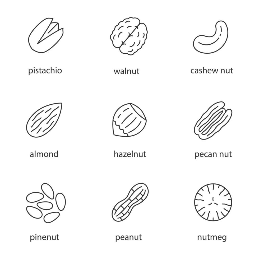 Nuts types linear icons set. Thin line contour symbols. Isolated vector outline illustrations