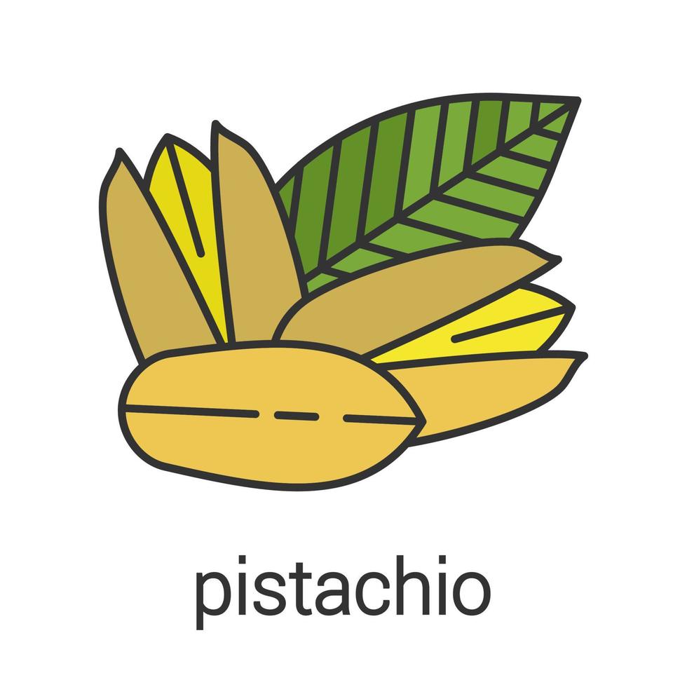 Pistachio color icon. Flavoring, seasoning. Isolated vector illustration