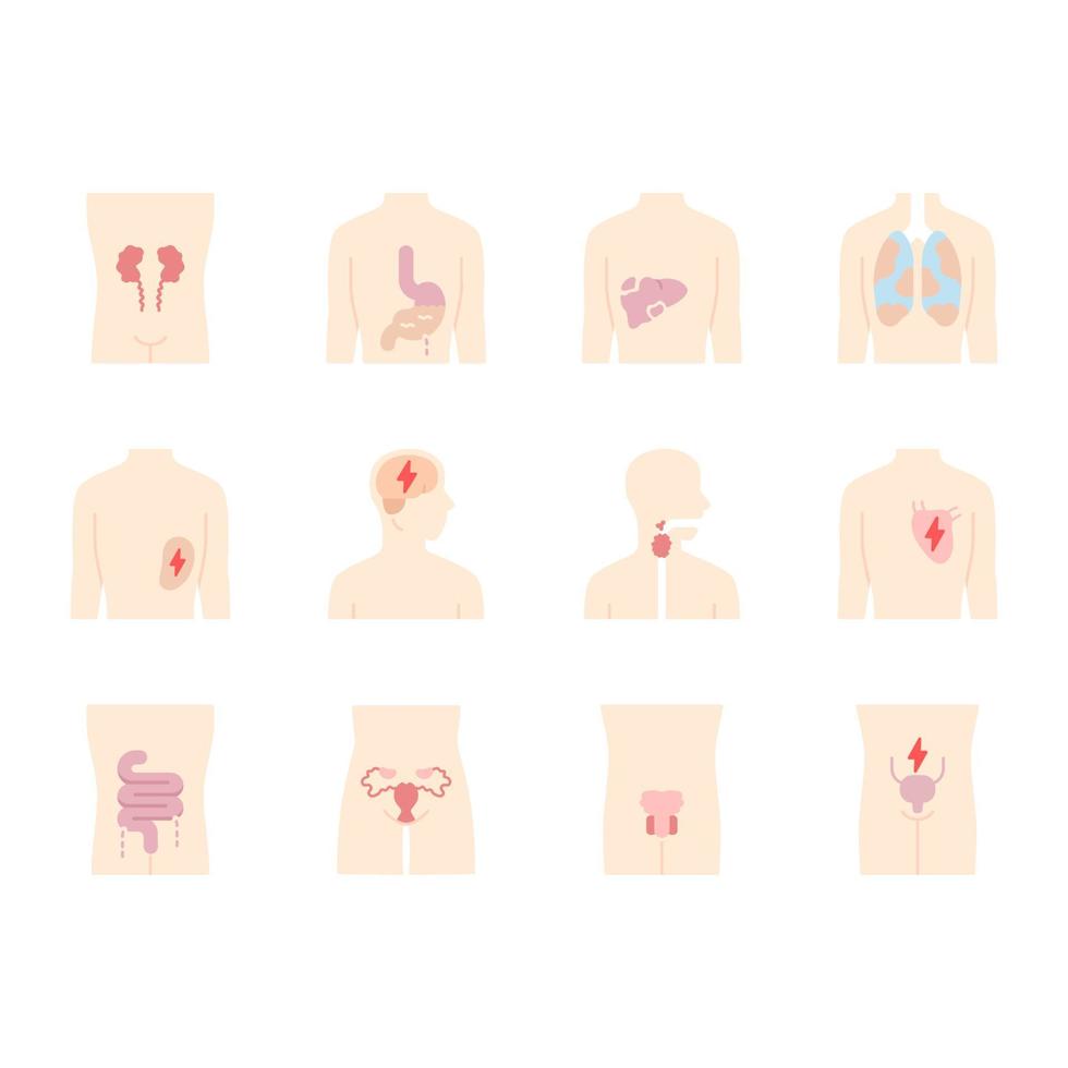 Ill human organs flat design long shadow color icons set. Sore heart and lungs. Aching urinary bladder. Unhealthy liver and intestines. Sick internal body parts. Vector silhouette illustrations