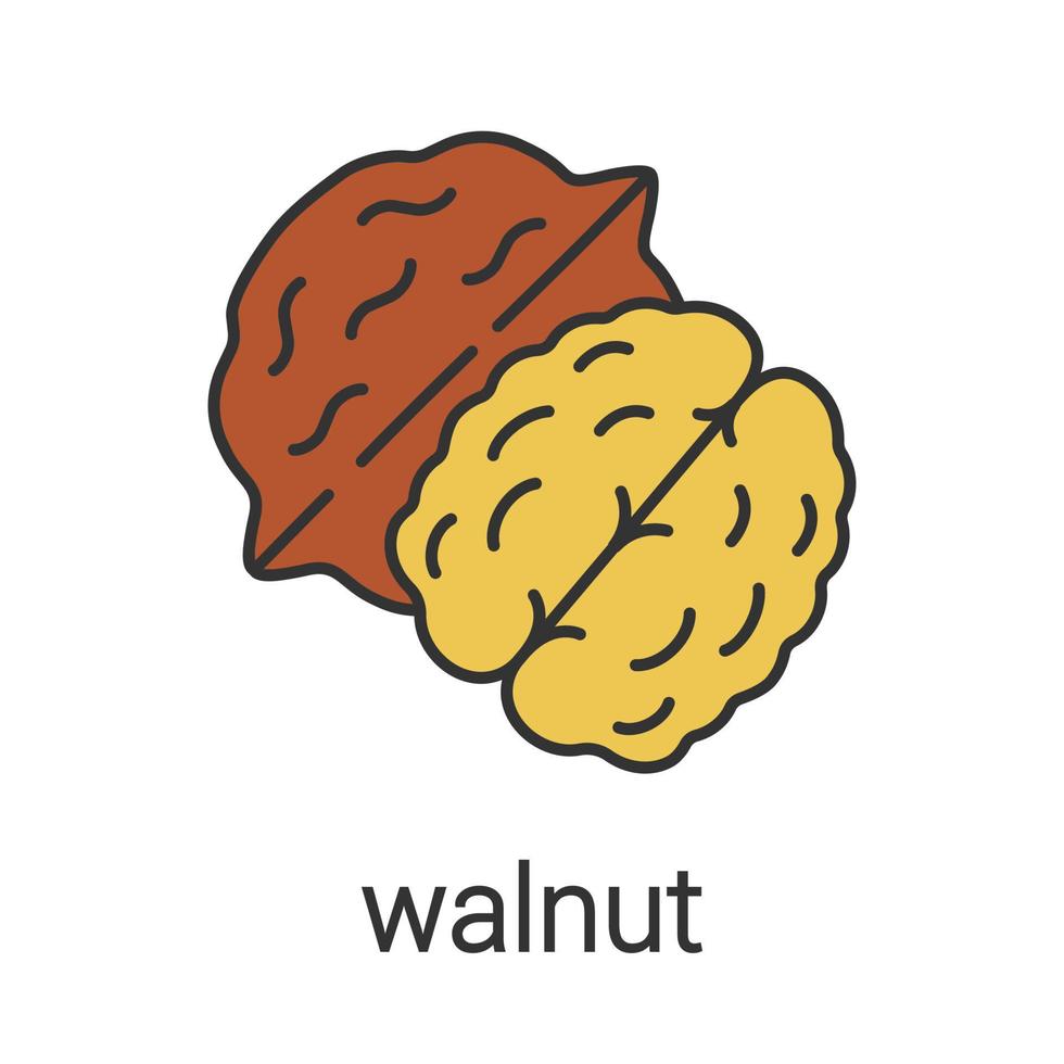 Walnut color icon. Hazelnut. Flavoring, seasoning. Isolated vector illustration