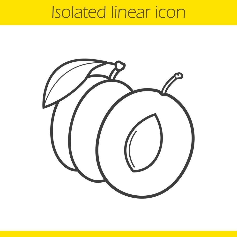 Plum linear icon. Thin line illustration. Contour symbol. Vector isolated outline drawing