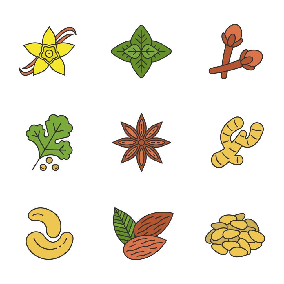 Conjunto de iconos de colores de especias. condimentos, aromas. flor de vainilla, albahaca, clavo, cilantro, anís, jengibre, anacardos, almendras, piñones. ilustraciones vectoriales aisladas vector