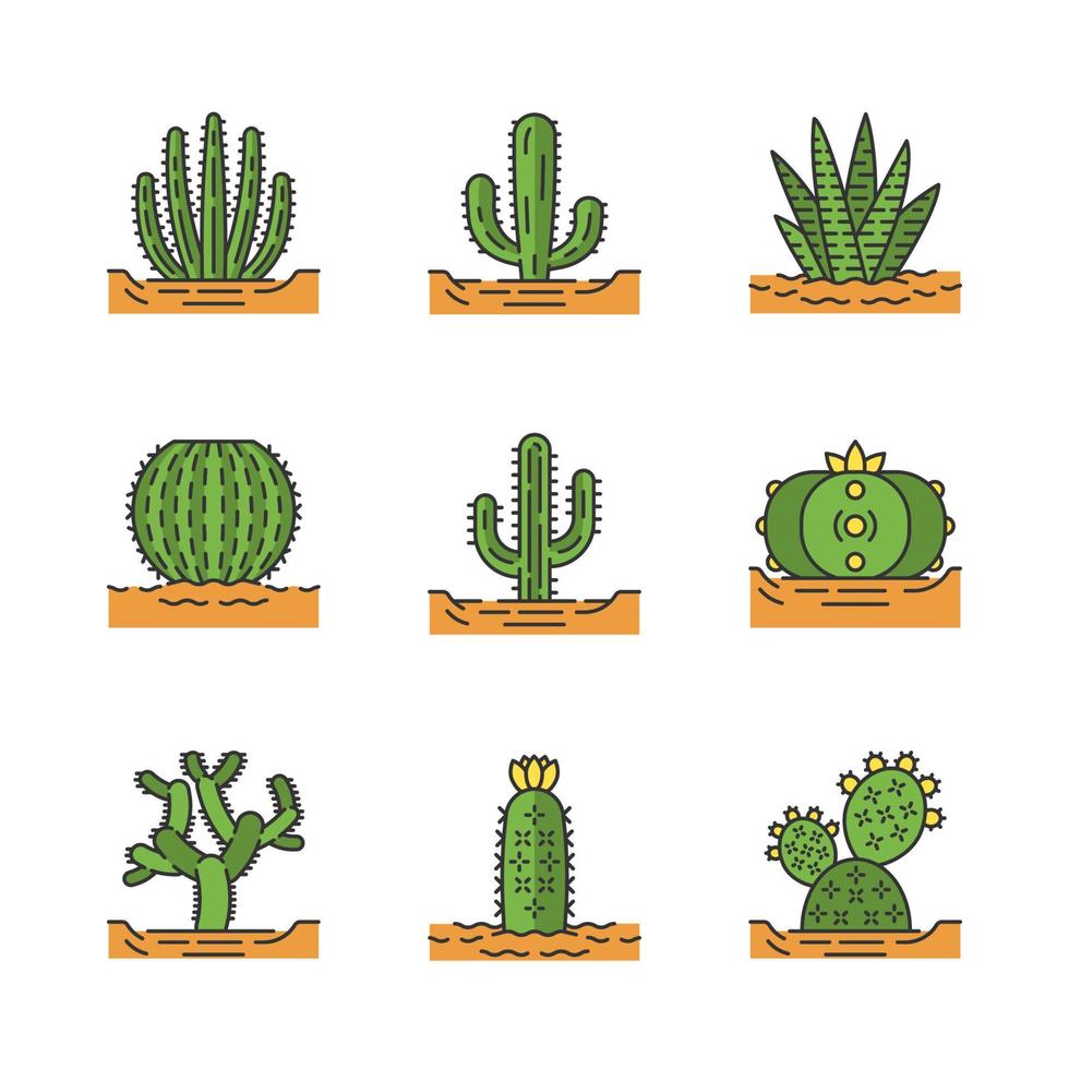 Wild cactuses on ground color icons set vector