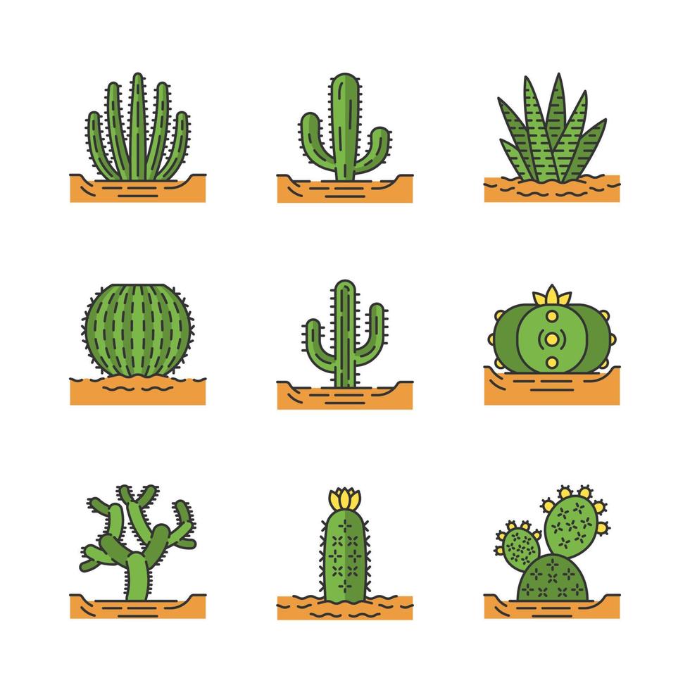 cactus silvestres en el conjunto de iconos de color de tierra vector