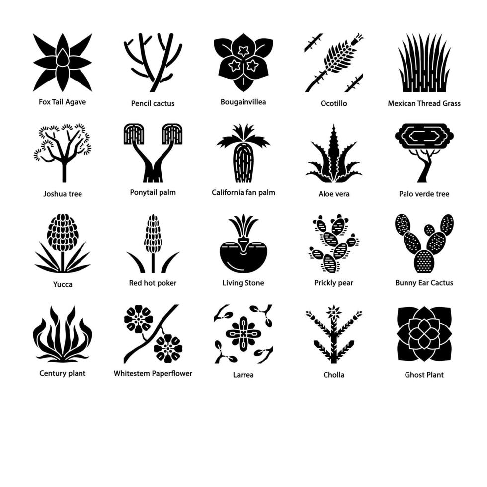 Desert plants glyph icons set vector