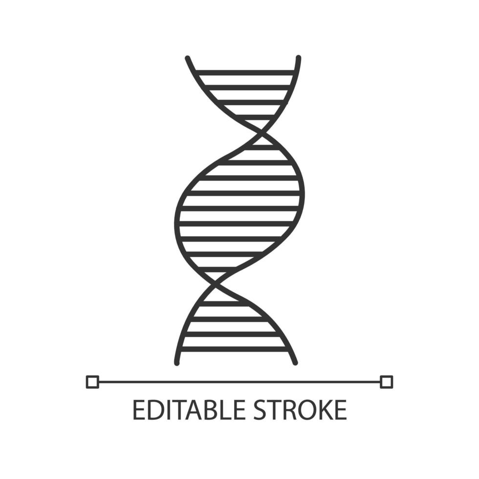Right-handed DNA helix linear icon. B-DNA. Deoxyribonucleic, nucleic acid. Molecular biology. Genetics. Thin line illustration. Contour symbol. Vector isolated outline drawing. Editable stroke
