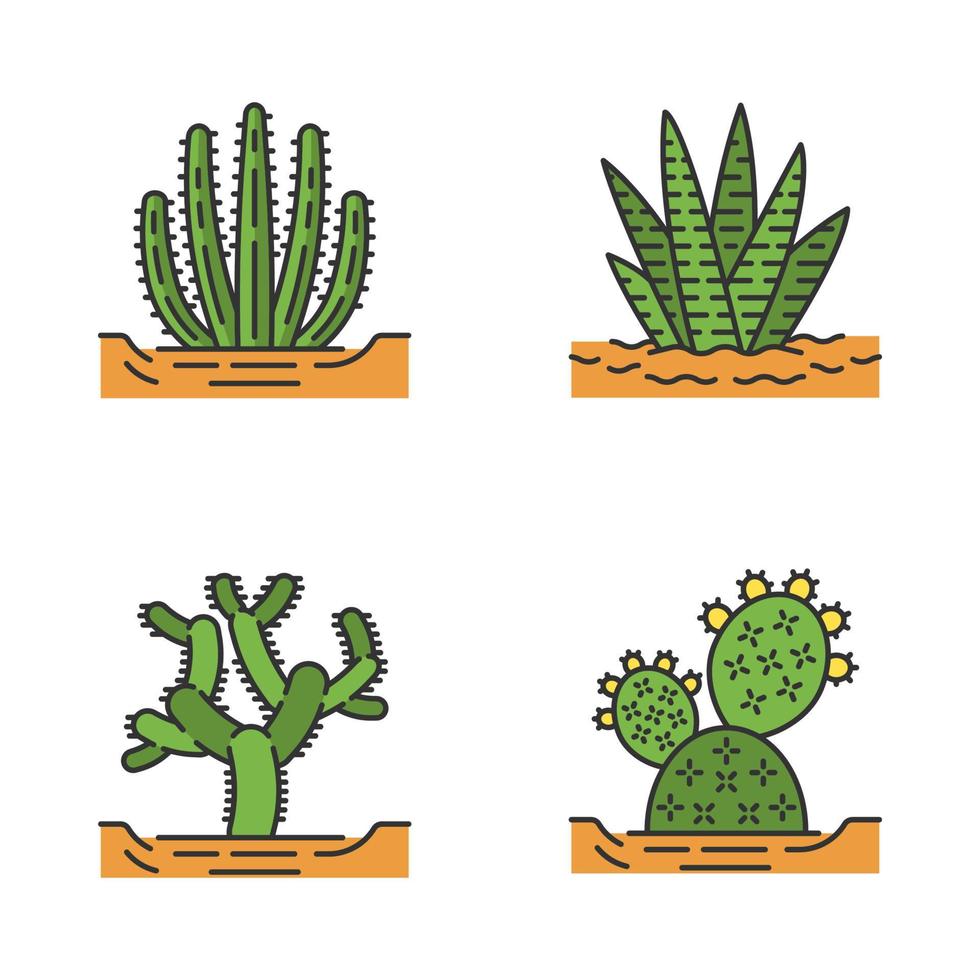 Wild cacti in ground color icons set vector