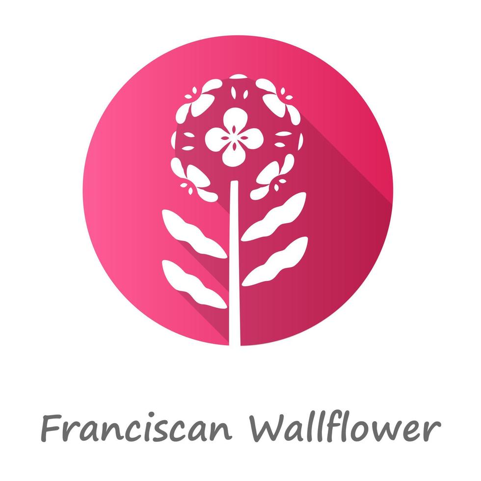 Franciscan wallflower pink flat design long shadow glyph icon. Garden flowering plant with name. Erysimum franciscanum inflorescence. Blooming wildflower, weed. Vector silhouette illustration