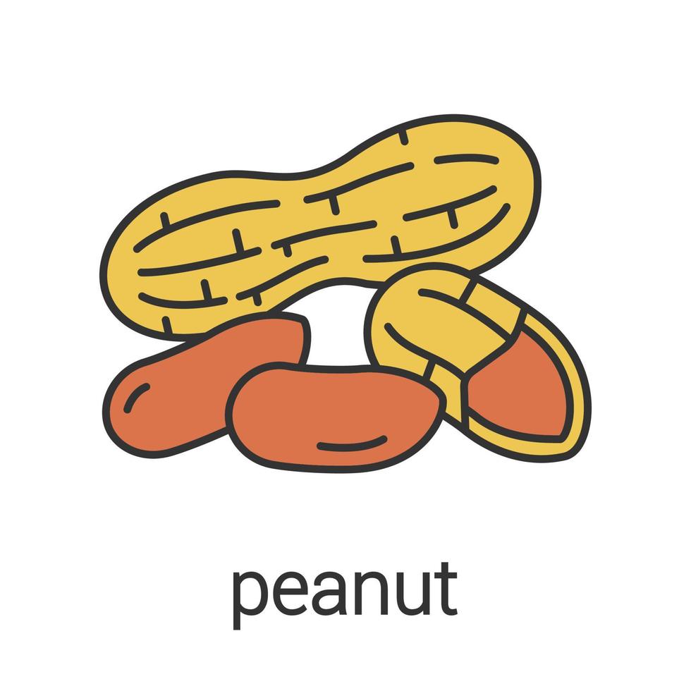 Peanut color icon. Isolated vector illustration