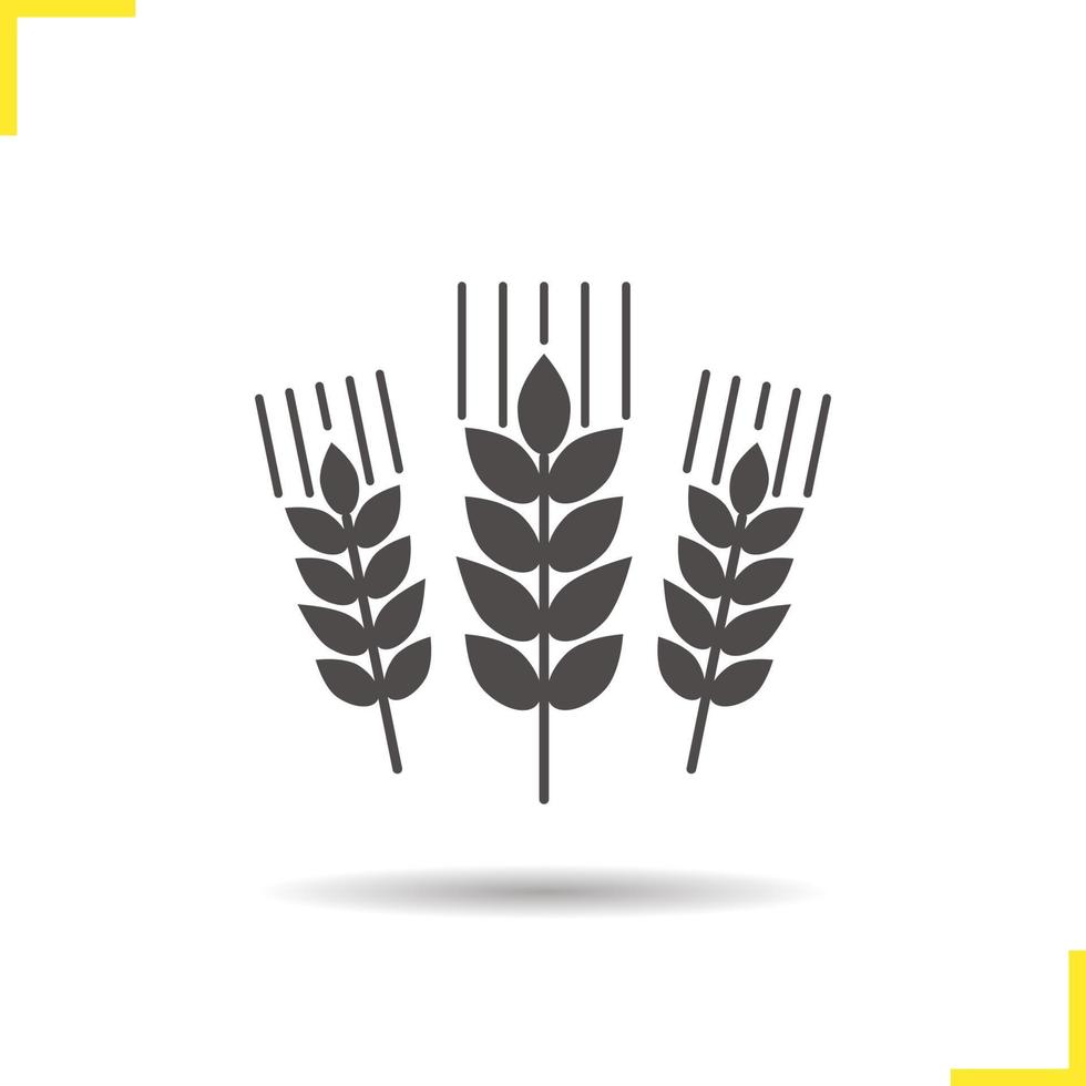 Wheat ears icon. Drop shadow barley silhouette symbol. Spikes of rye. Negative space. Vector isolated illustration