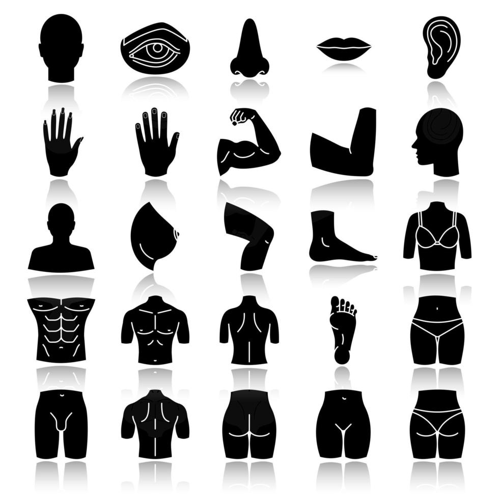 Body parts drop shadow black glyph icons set. Anatomy. Health care. Isolated vector illustrations