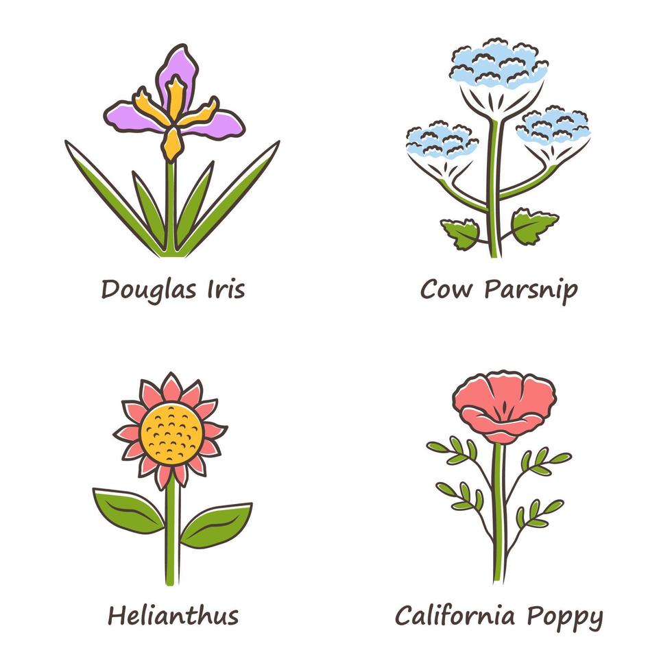 Wild flowers color icons set. Douglas iris, cow parsnip, helianthus, california poppy. Blooming wildflowers, weed. Spring blossom. Field, meadow herbaceous plants. Isolated vector illustrations