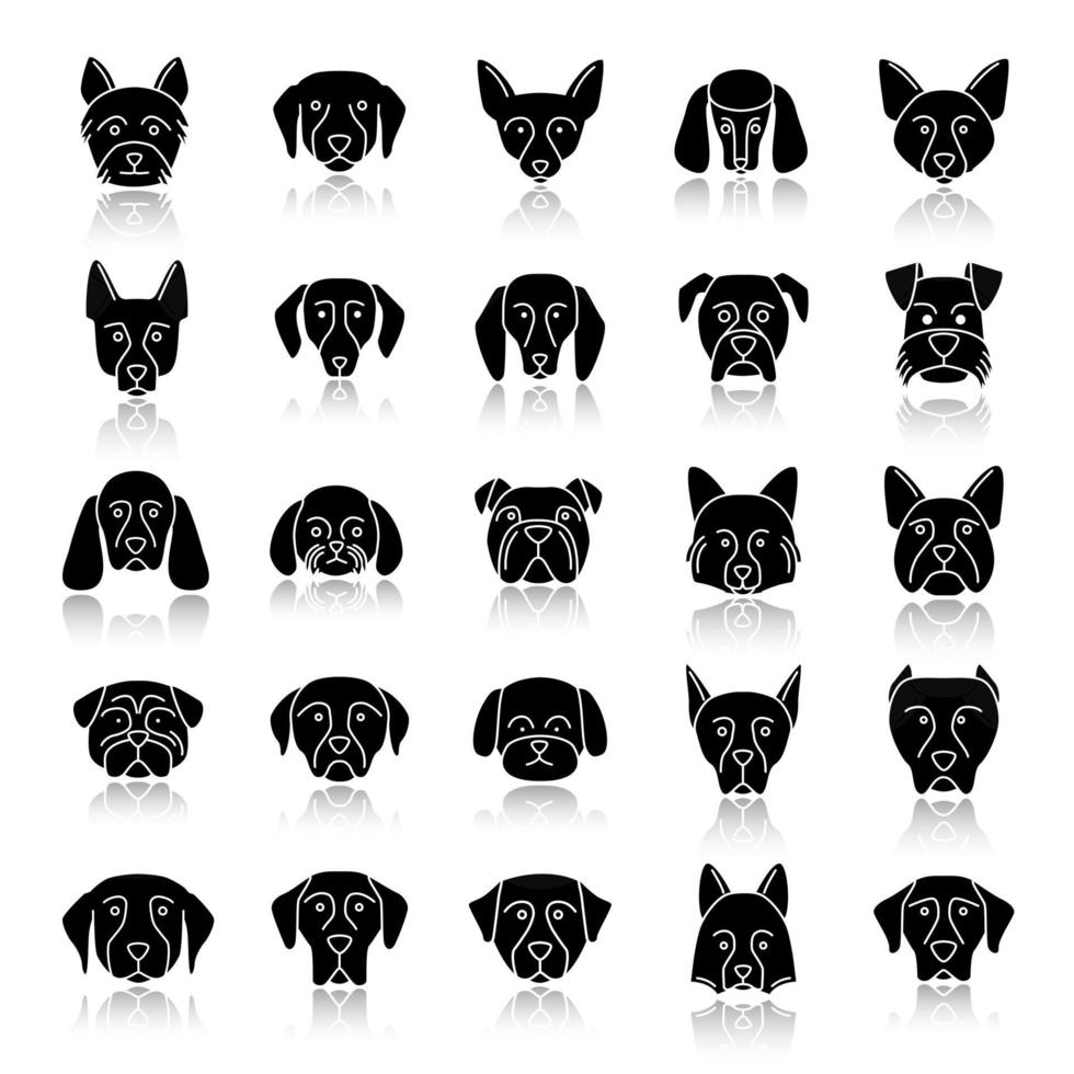 perros, razas, sombra, negro, glifo, iconos, conjunto vector