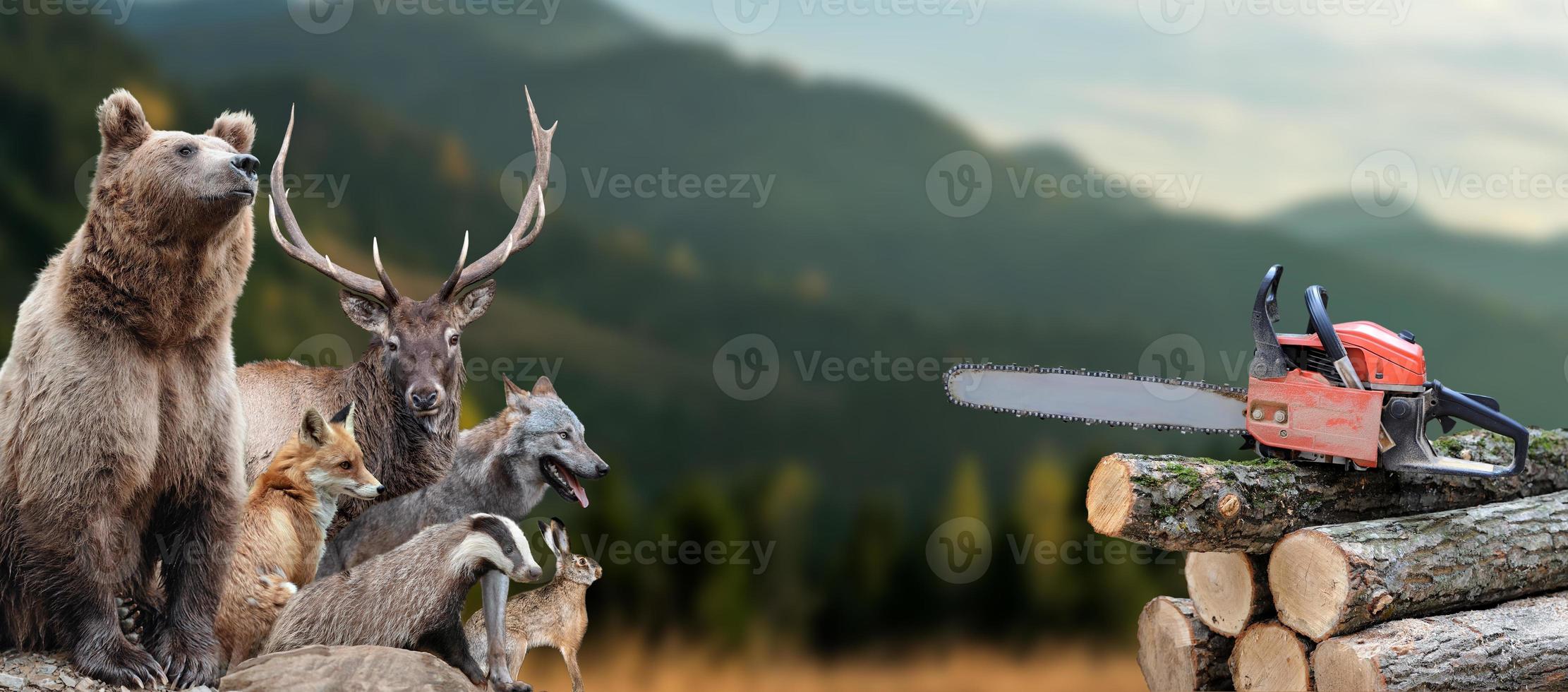 Many animals in the middle of a felled forest and a bunch of trees with a chainsaw. Wildlife scene photo