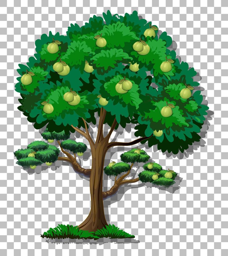 árbol de guayaba en el fondo de la cuadrícula vector