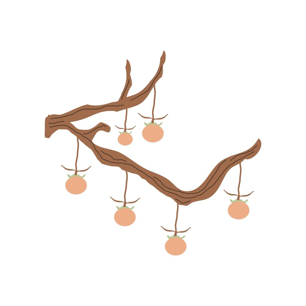 branch with oranges vector