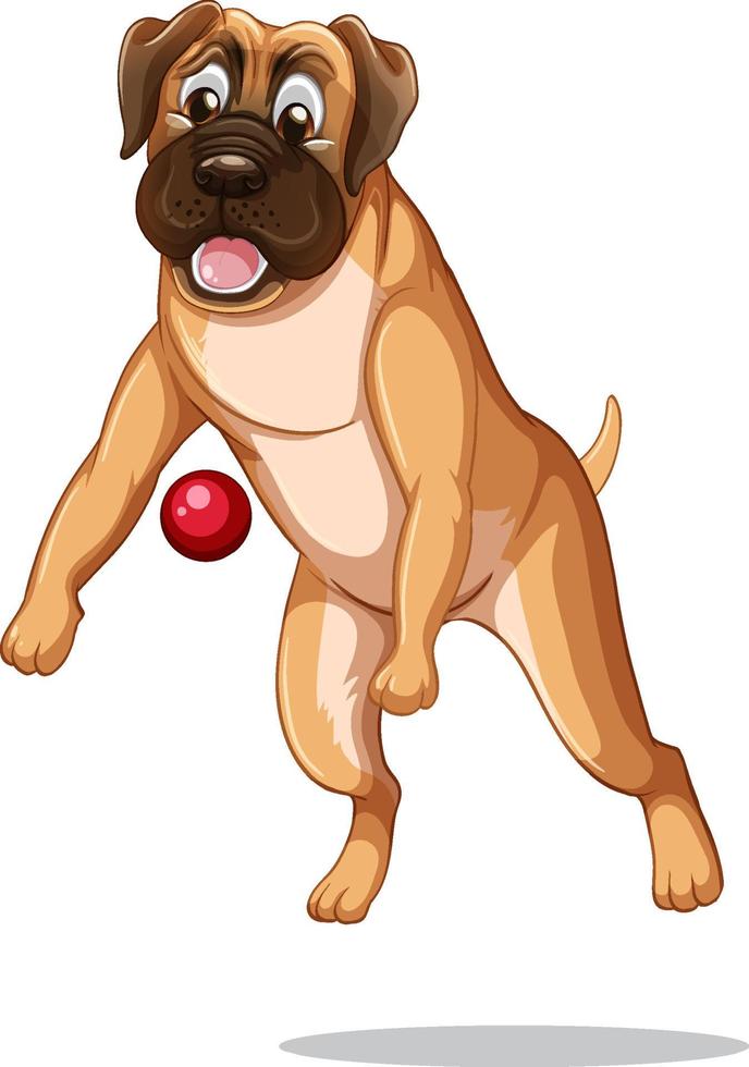 Perro boxer jugando con pelota sobre fondo blanco. vector