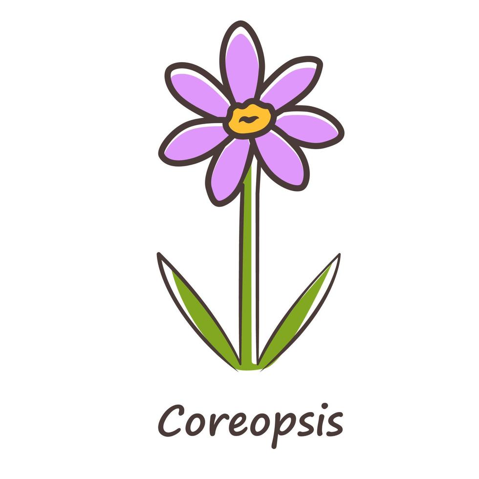 coreopsis icono de color púrpura. Flor de jardín de Rudbeckia con inscripción de nombre. Inflorescencia de la planta calliopsis. margarita floreciente, flores silvestres de manzanilla. ilustración vectorial aislada vector