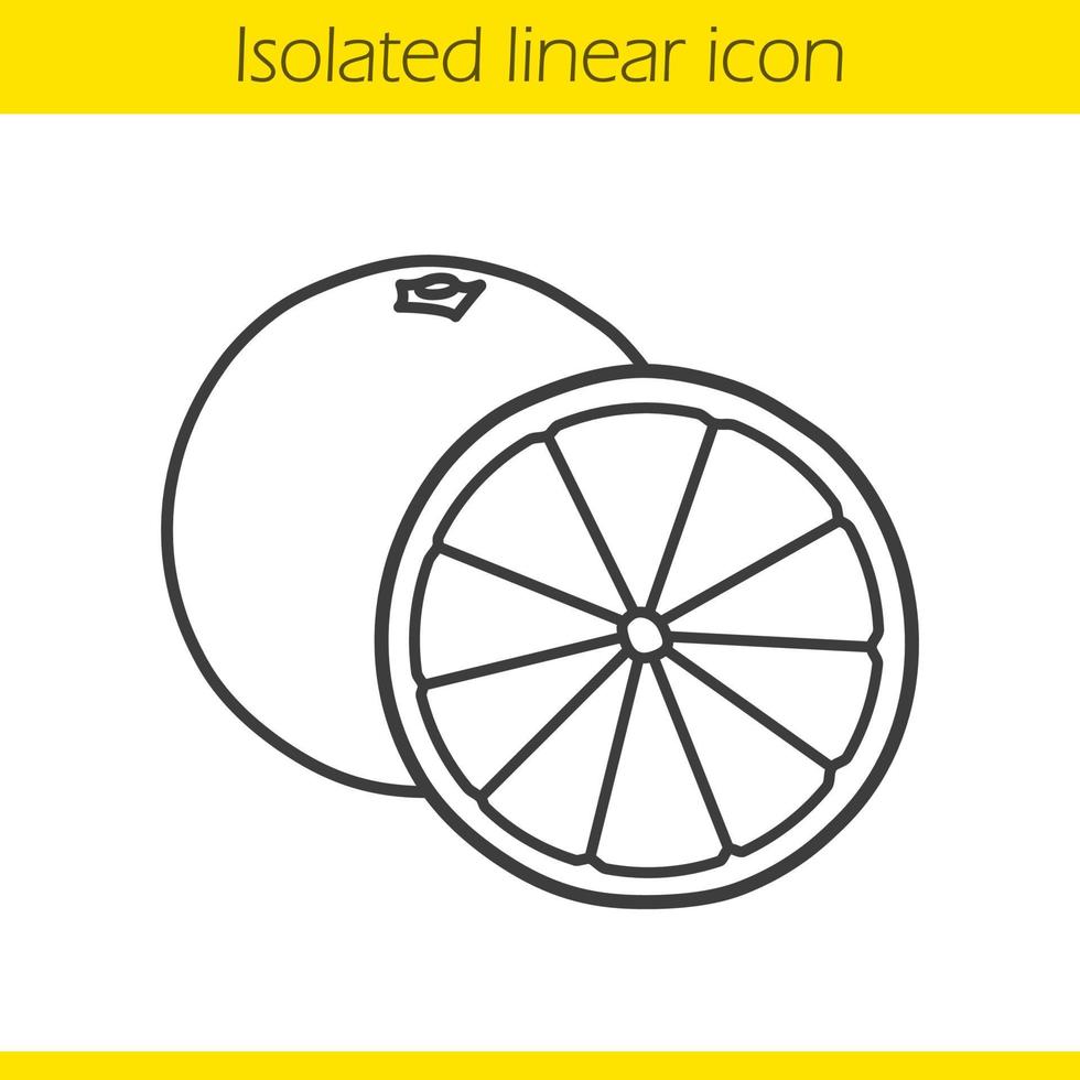 Orange fruit linear icon. Thin line illustration. Contour symbol. Vector isolated outline drawing