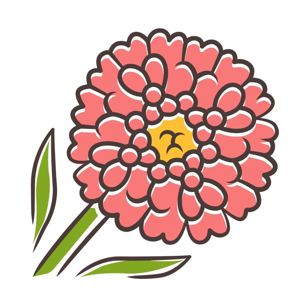 icono de color rojo candytuft. flor de jardín de aster. iberis planta perenne de hoja perenne. flor silvestre en flor. flor de primavera. ilustración vectorial aislada vector