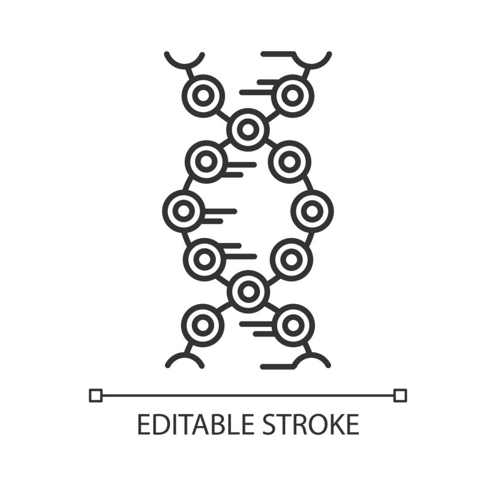 DNA strands linear icon. Connected circles, lines. Deoxyribonucleic, nucleic acid helix. Chromosome. Genetics. Thin line illustration. Contour symbol. Vector isolated outline drawing. Editable stroke