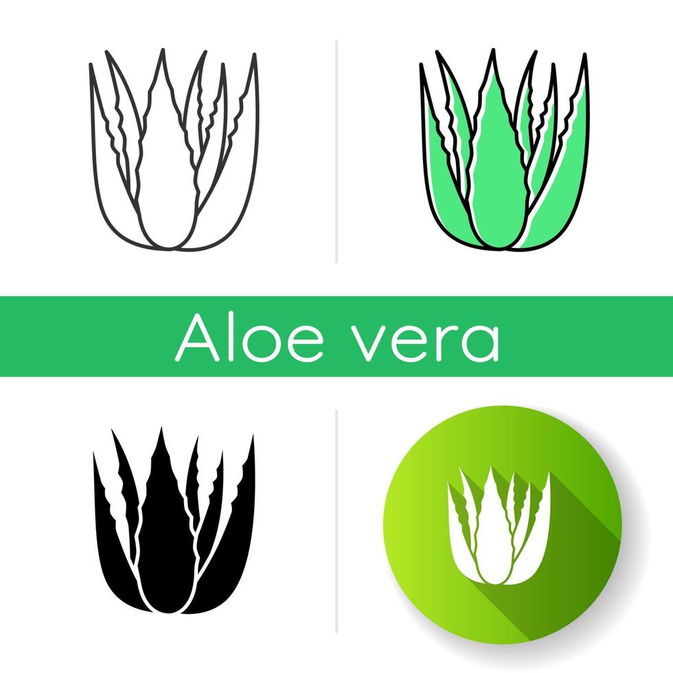 Succulent sprouts icon. Growing aloe vera. Cactus leafs and medicinal herb. Decorative plant. Ingredient for vegan cosmetic. Linear black and RGB color styles. Isolated vector illustrations