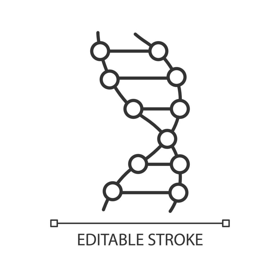 icono lineal de hélice de adn. z-adn. puntos conectados, líneas. desoxirribonucleico, ácido nucleico. codigo genetico. genética. Ilustración de línea fina. símbolo de contorno. dibujo de contorno aislado vectorial. trazo editable vector