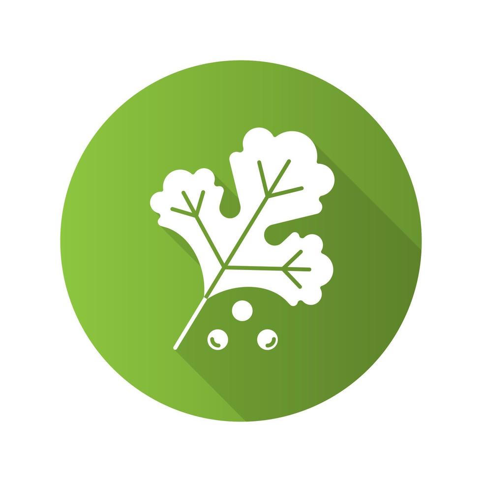 icono de glifo de larga sombra de diseño plano de cilantro. ilustración de silueta de vector