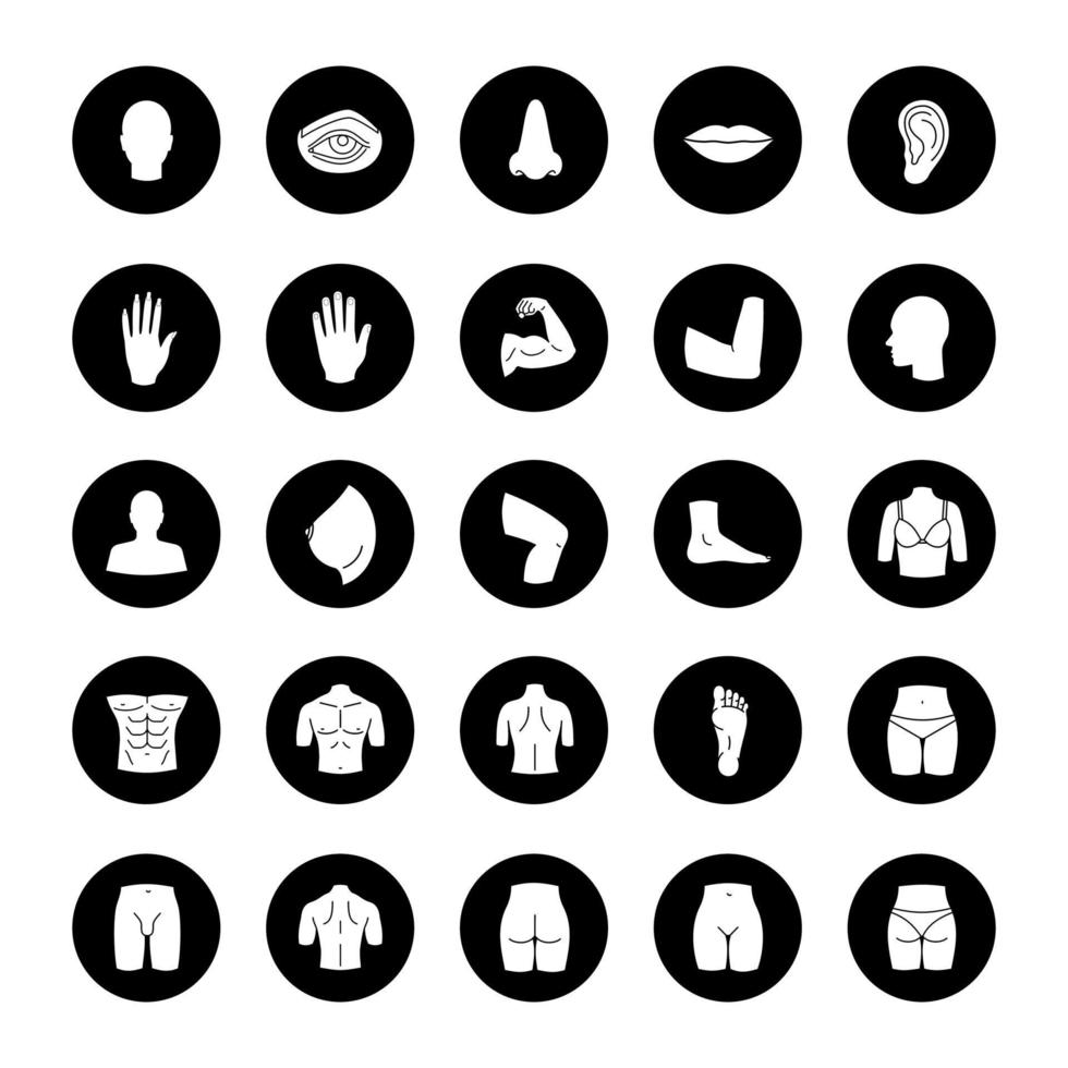 Human body parts glyph icons set. Anatomy. Health care. Vector white silhouettes illustrations in black circles