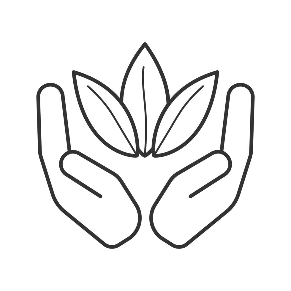 Open palms with tea leaves linear icon. Tea harvesting and processing. Thin line illustration. Contour symbol. Vector isolated outline drawing