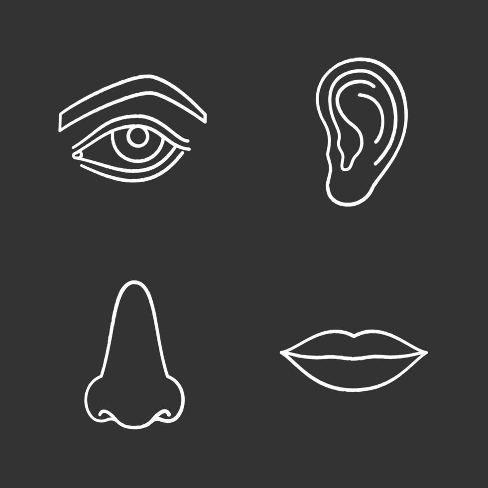 Conjunto de iconos de tiza de partes del cuerpo facial. ojo, nariz, oreja, labios. ilustraciones de pizarra vector aislado