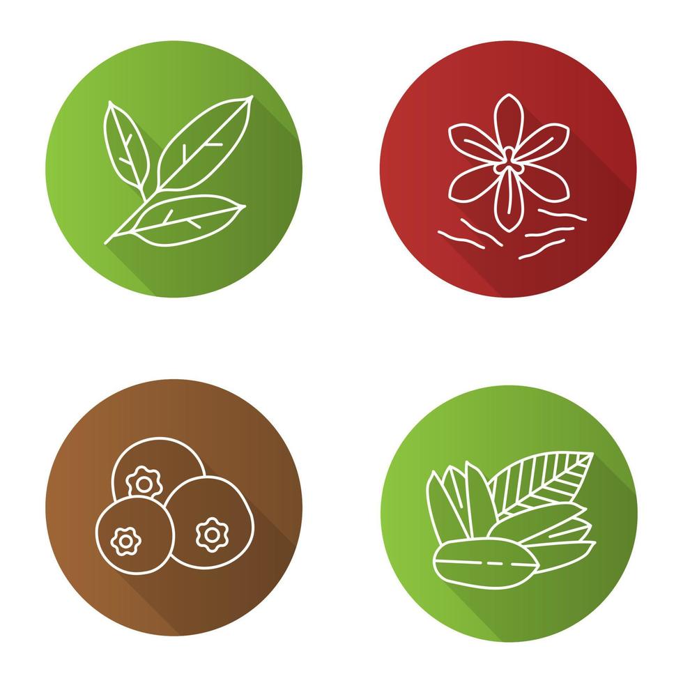 Spices flat linear long shadow icons set. Bay leaves, pistachio, allspice, saffron. Vector outline illustration