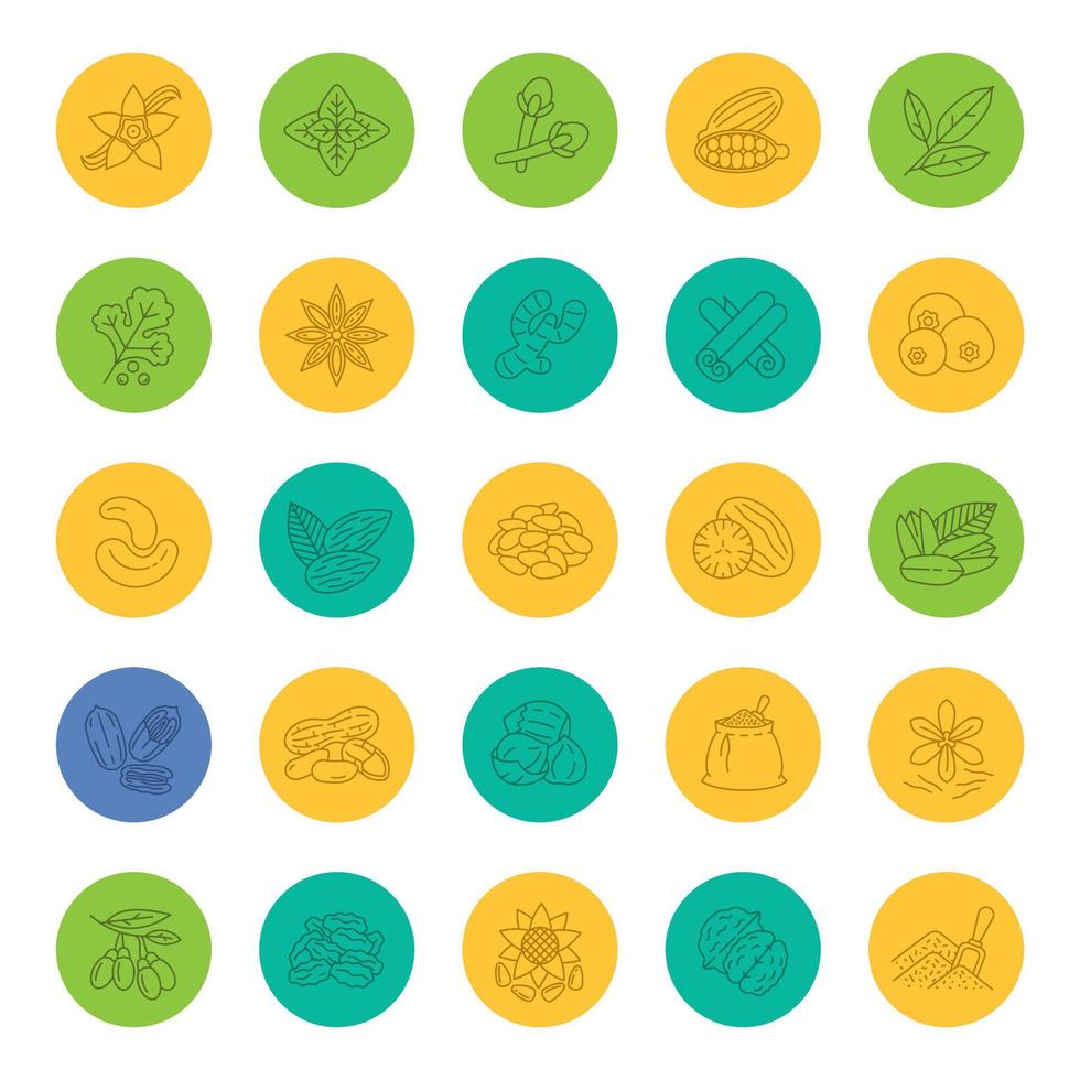 Conjunto de iconos lineales de especias. aromas, condimentos. símbolos de contorno de líneas finas en círculos de color. ilustraciones vectoriales vector