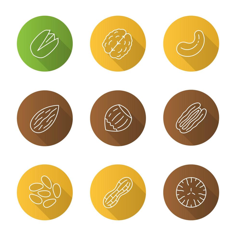 Nuts types flat linear long shadow icons set. Pistachio, walnut, cashew and pecan nuts, almond, hazelnut, pinenuts, peanut, nutmeg. Vector outline illustration