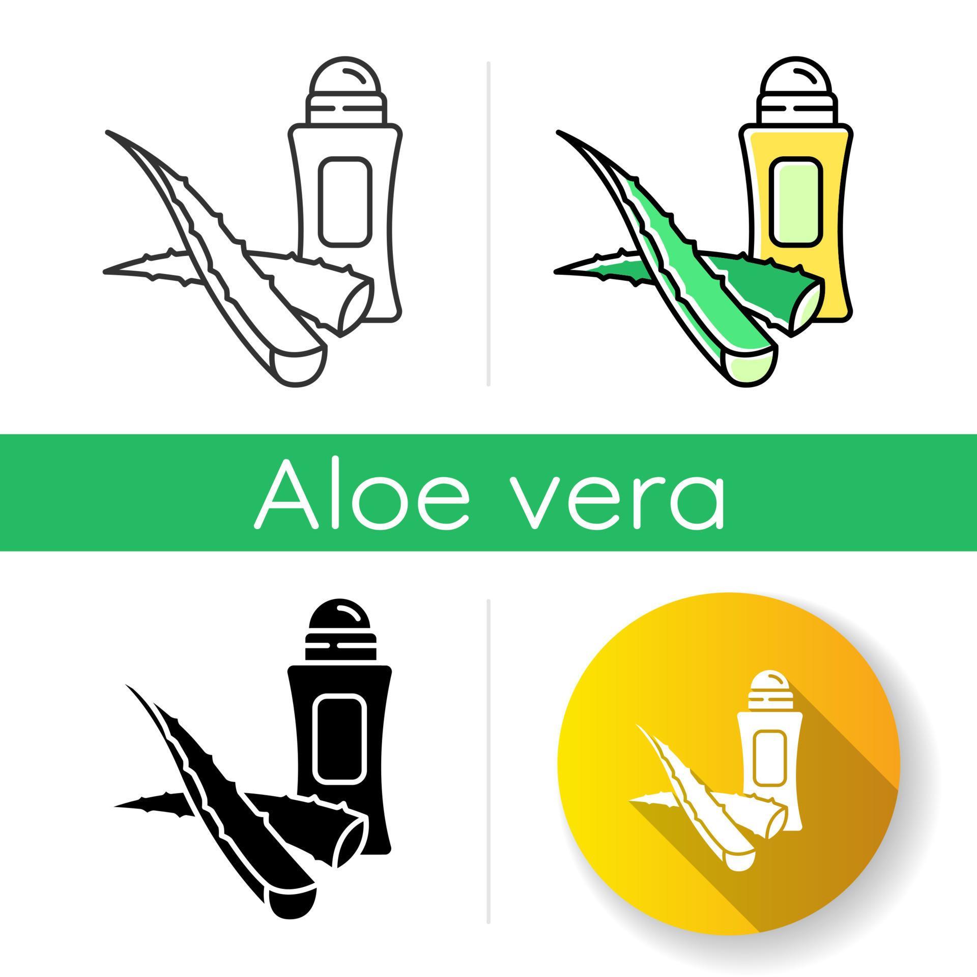 Vegan antiperspirant icon. Plant based deodorant. Protection from smell