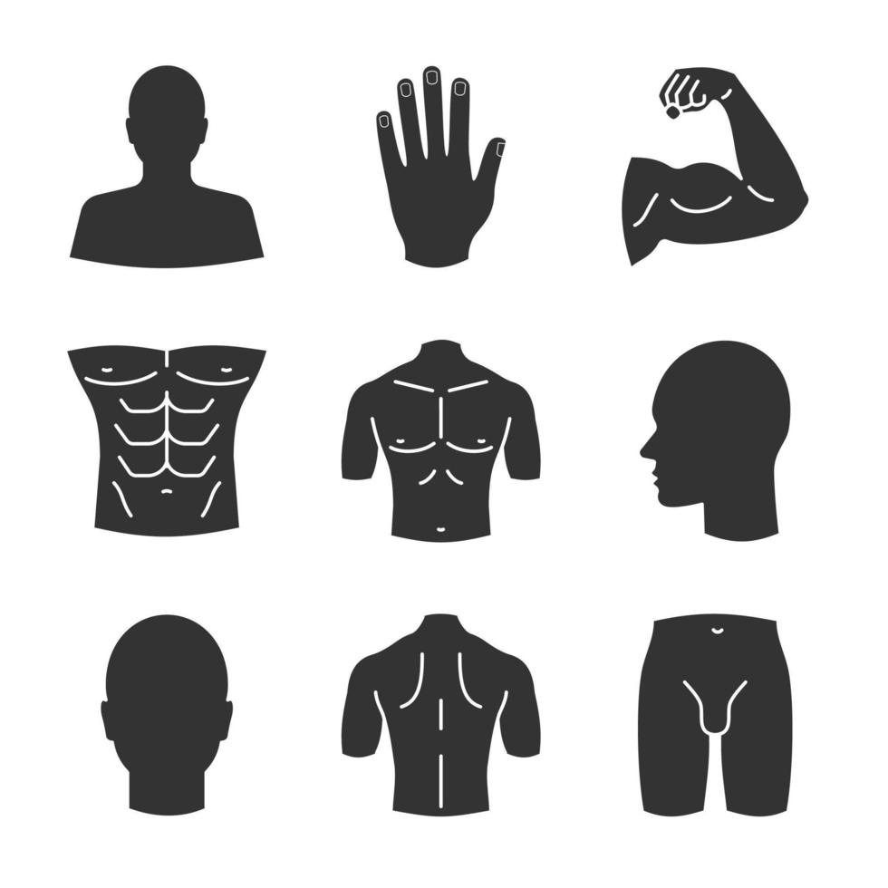 Conjunto de iconos de glifo de partes del cuerpo masculino. cabeza, mano, bíceps, torso, espalda, glúteos, perfil, ingle. símbolos de silueta. vector ilustración aislada