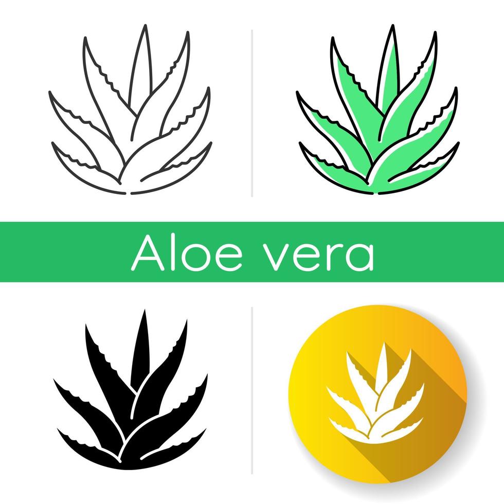 suculento icono. Estilos lineales de color negro y rgb. brotes de aloe vera. hojas de cactus. hierba medicinal. planta decorativa. flora de hoja perenne. ingrediente para cosmética orgánica. ilustraciones vectoriales aisladas vector