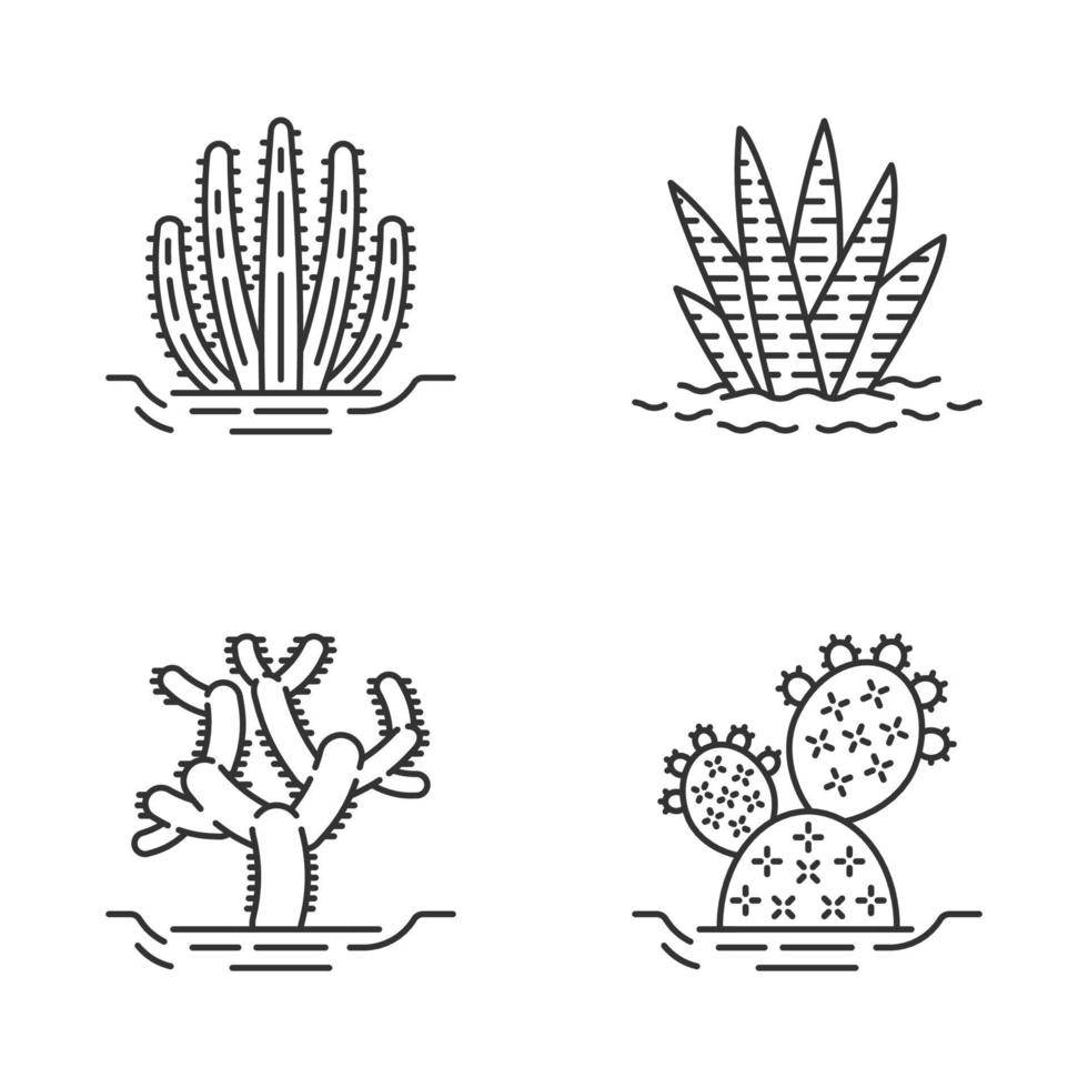 Wild cacti in ground linear icons set vector