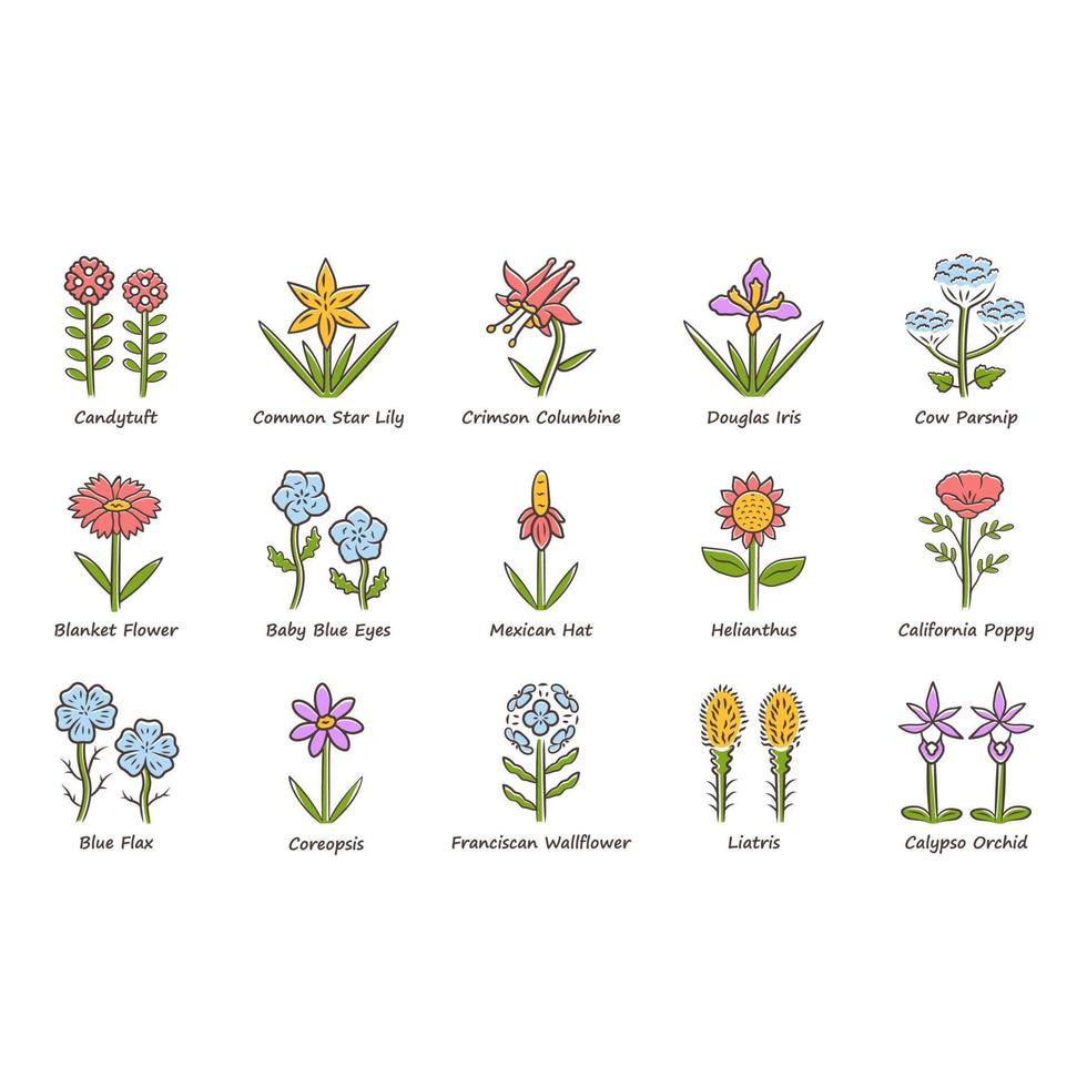 Wild flowers color icons set. Spring blossom. California wildflowers with names. Garden blooming plants inflorescences. Botanical bundle. Meadow, field weed. Isolated vector illustrations