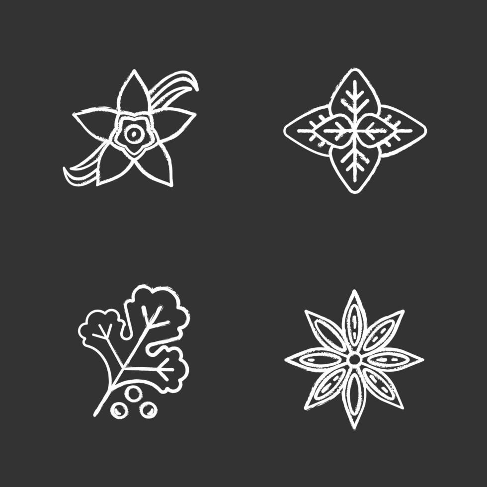 Conjunto de iconos de tiza de especias. anís, albahaca, flor de vainilla, cilantro. ilustraciones de pizarra vector aislado