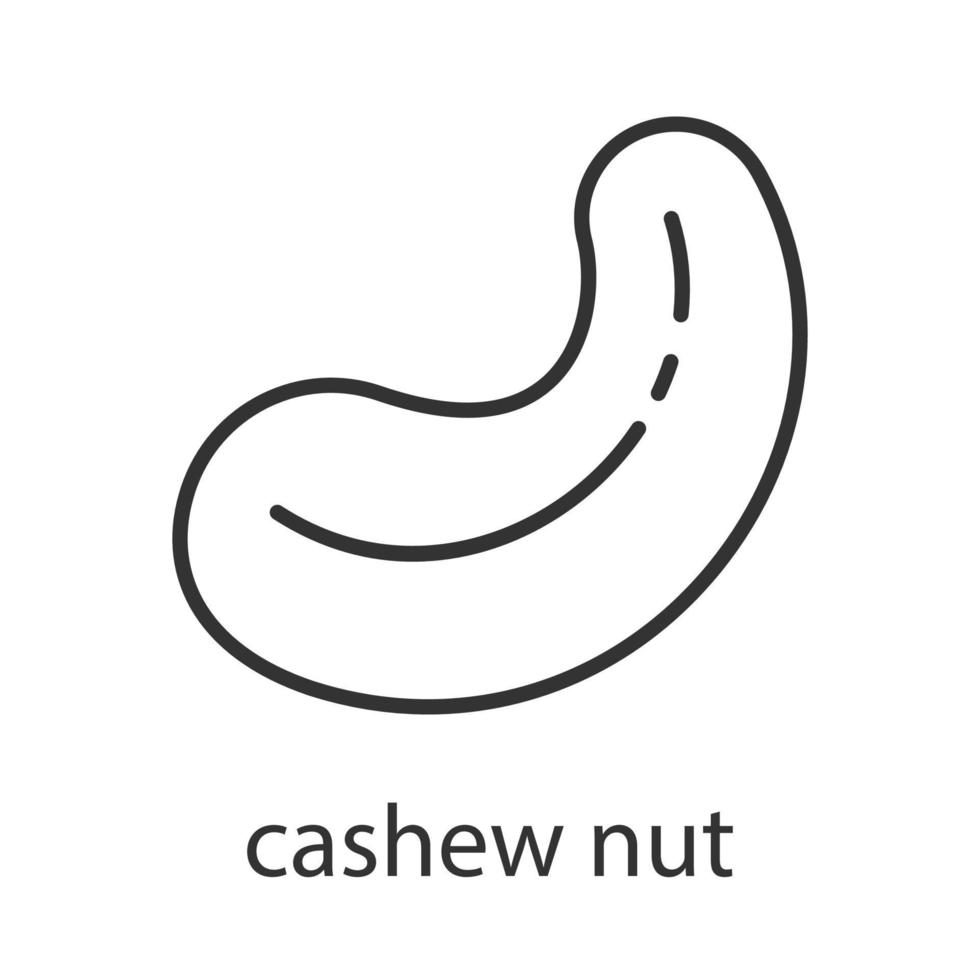 Cashew nut linear icon. Thin line illustration. Contour symbol. Vector isolated outline drawing