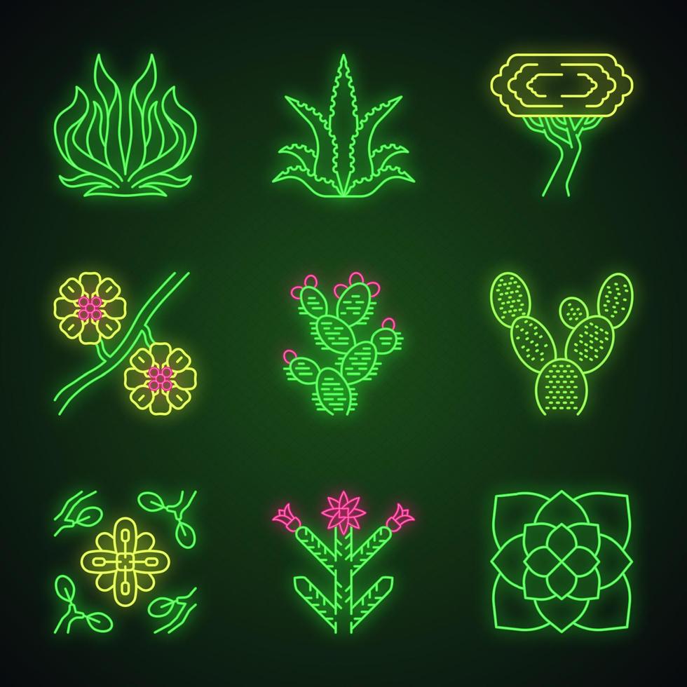 Conjunto de iconos de luz de neón de plantas del desierto. flora exótica. suculentas americanas y plantas resistentes a la sequía. larrea, árbol de palo verde, aloe vera, agave. signos brillantes. ilustraciones vectoriales aisladas vector